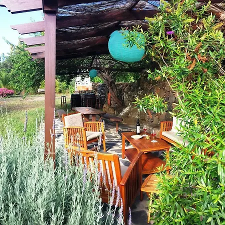 San Pablo Icod De Vinos Tatil Evi